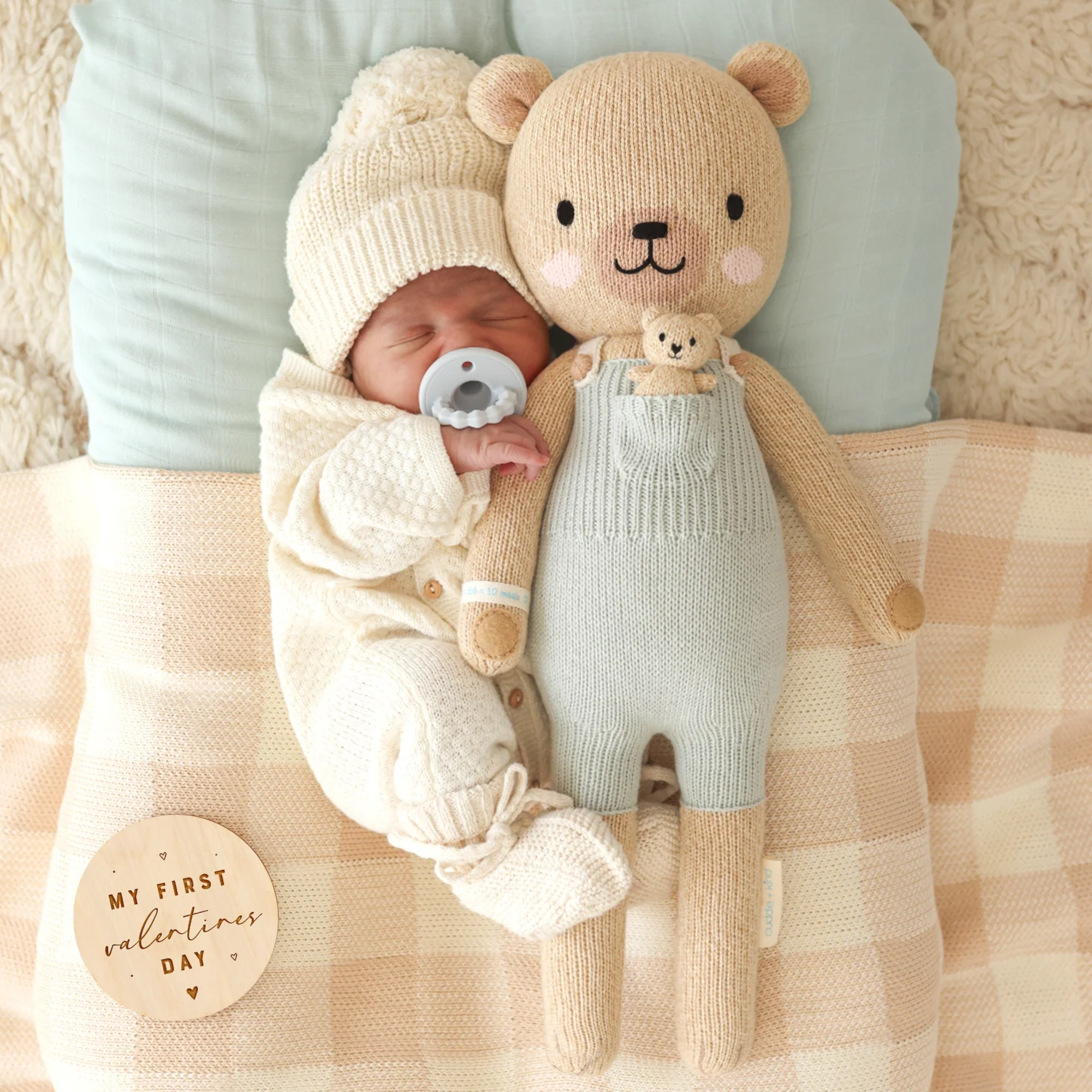 Alexander the honey bear - Image 5