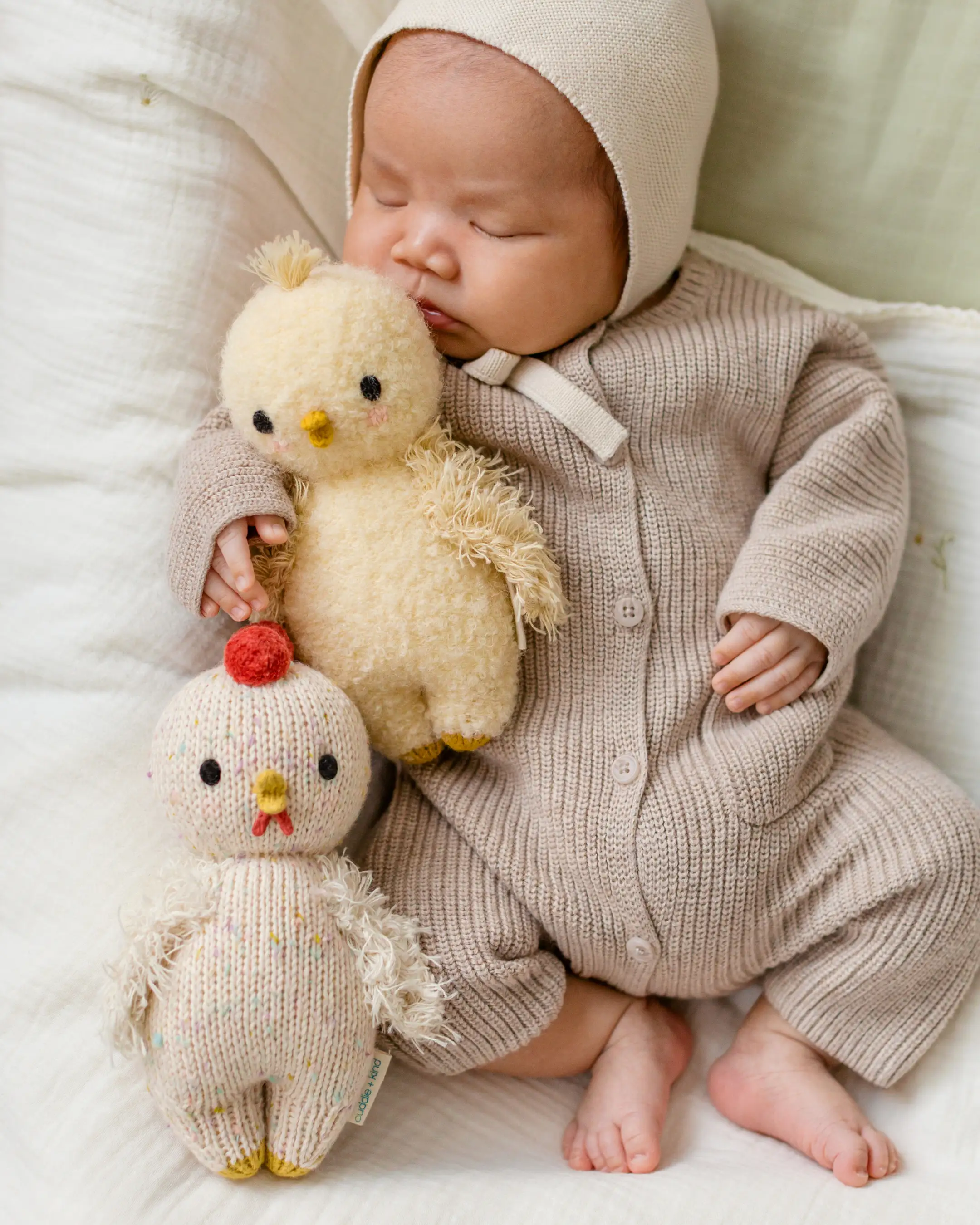 Baby chicken - Image 6