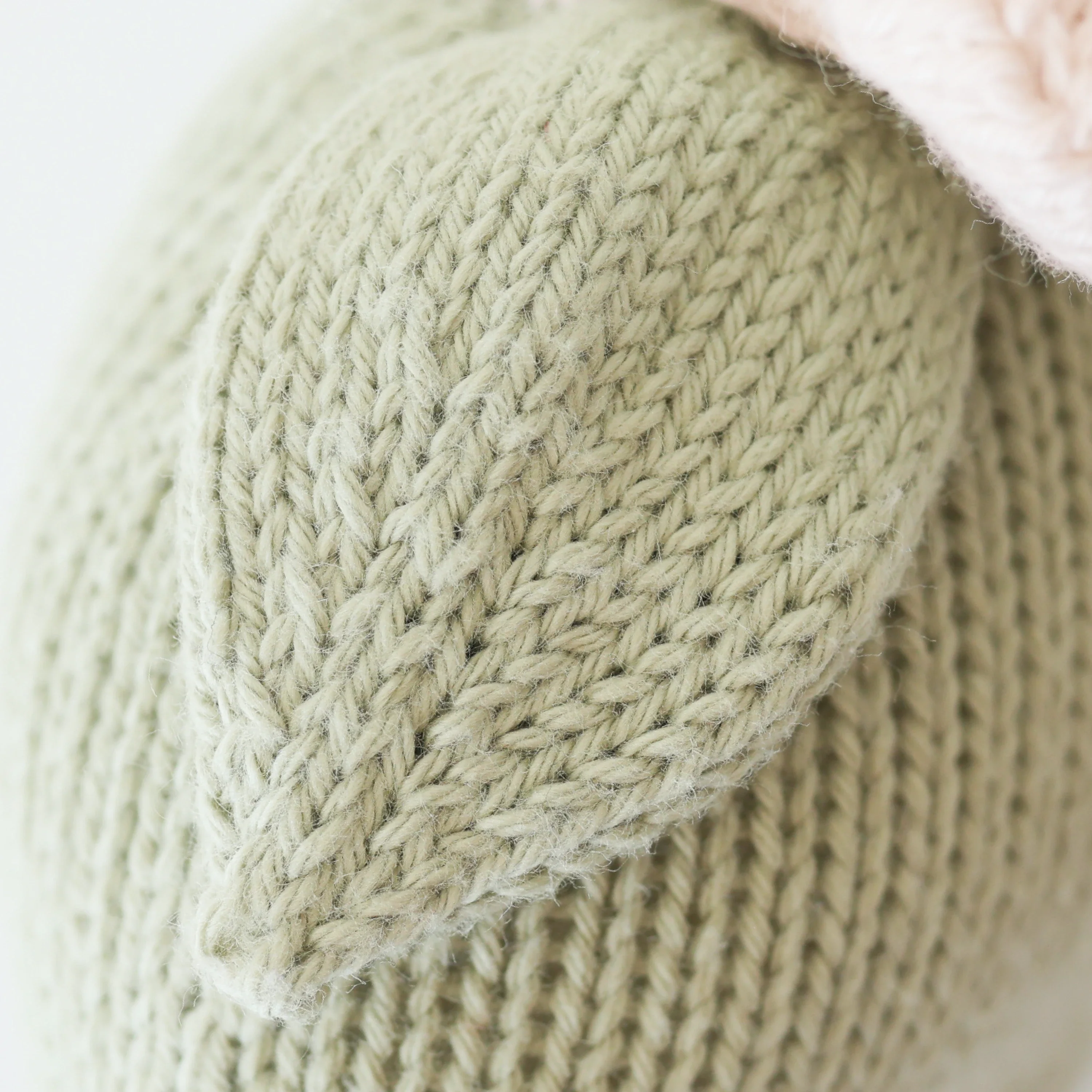 Baby daisy (blush pink) - Image 2