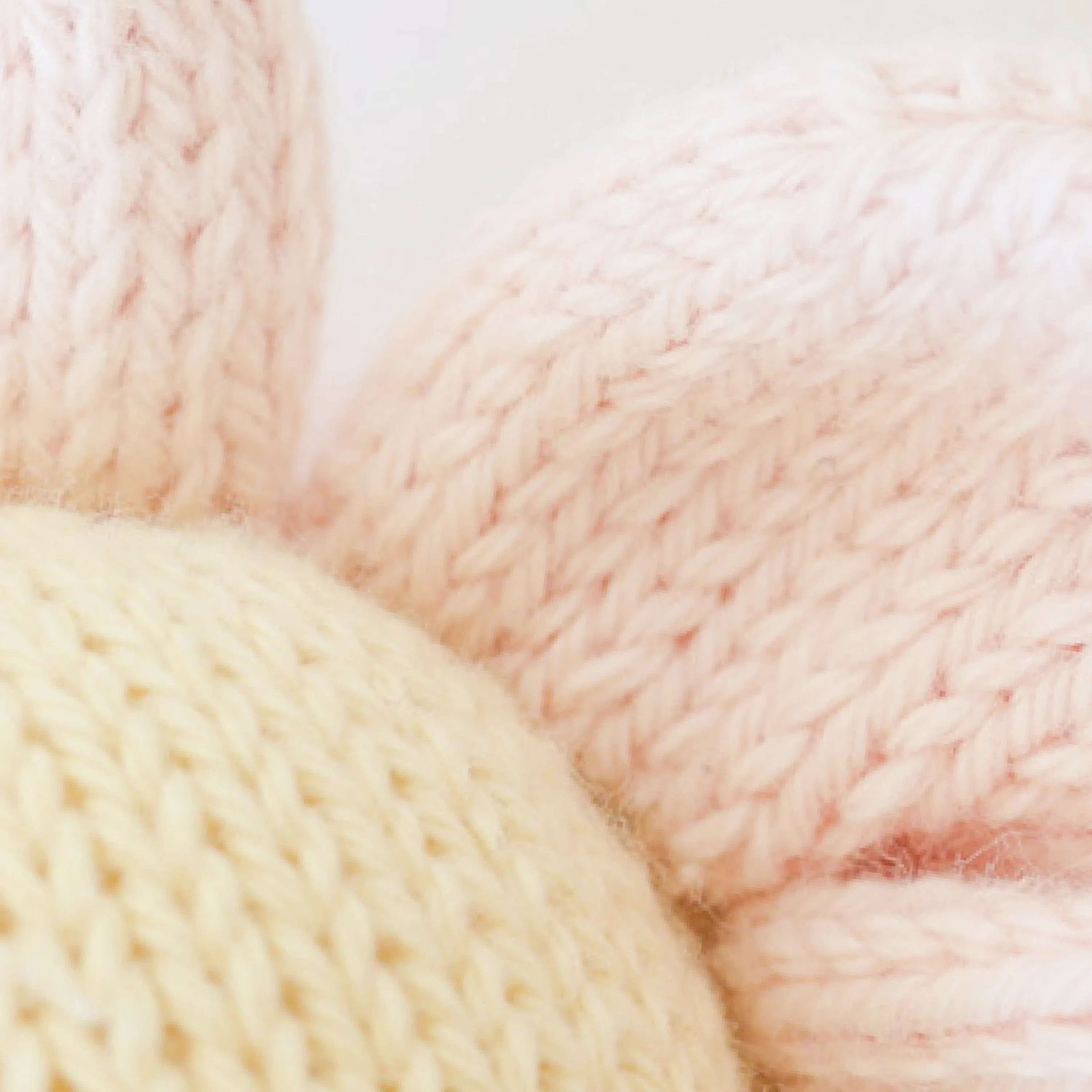 Baby daisy (blush pink) - Image 3