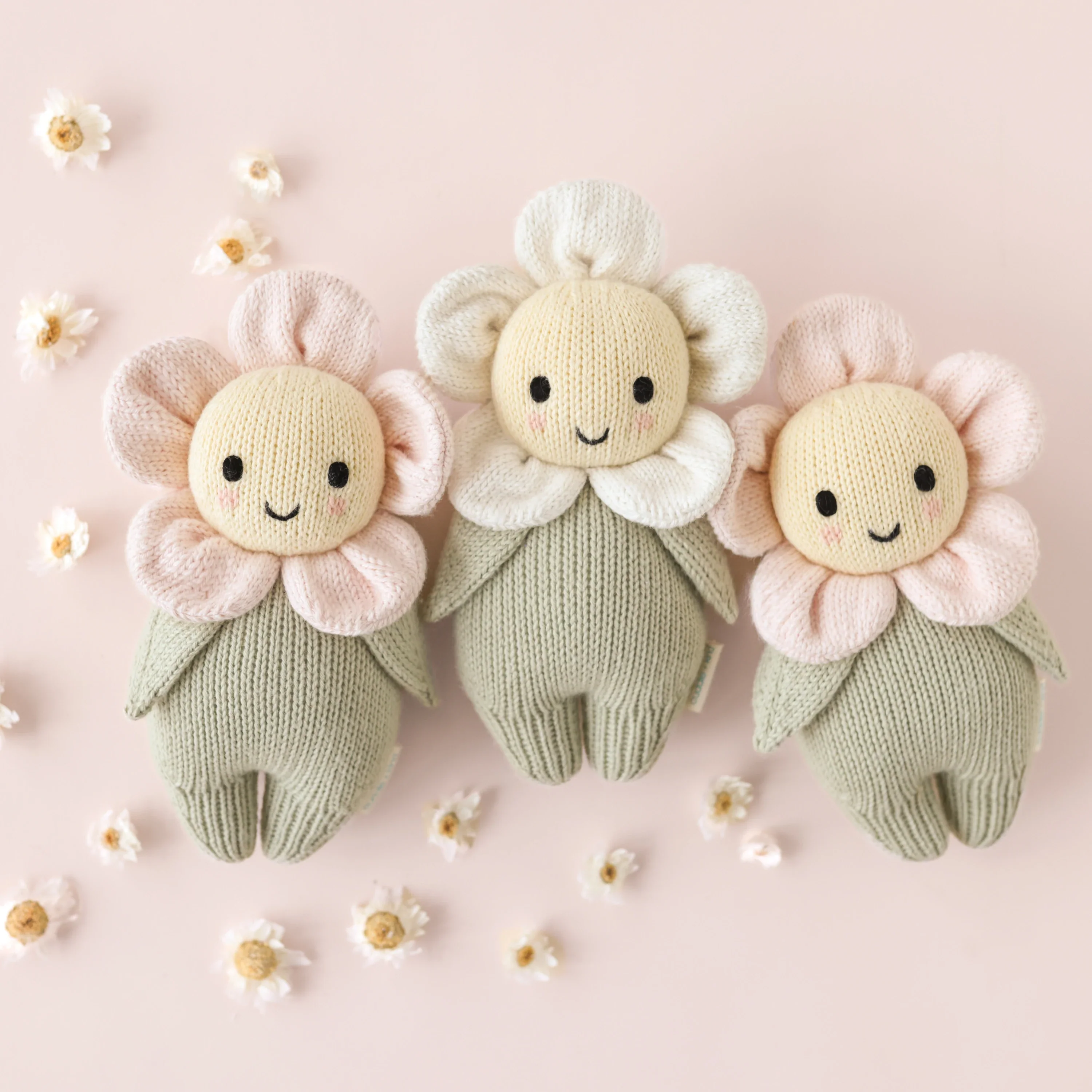 Baby daisy (blush pink) - Image 6