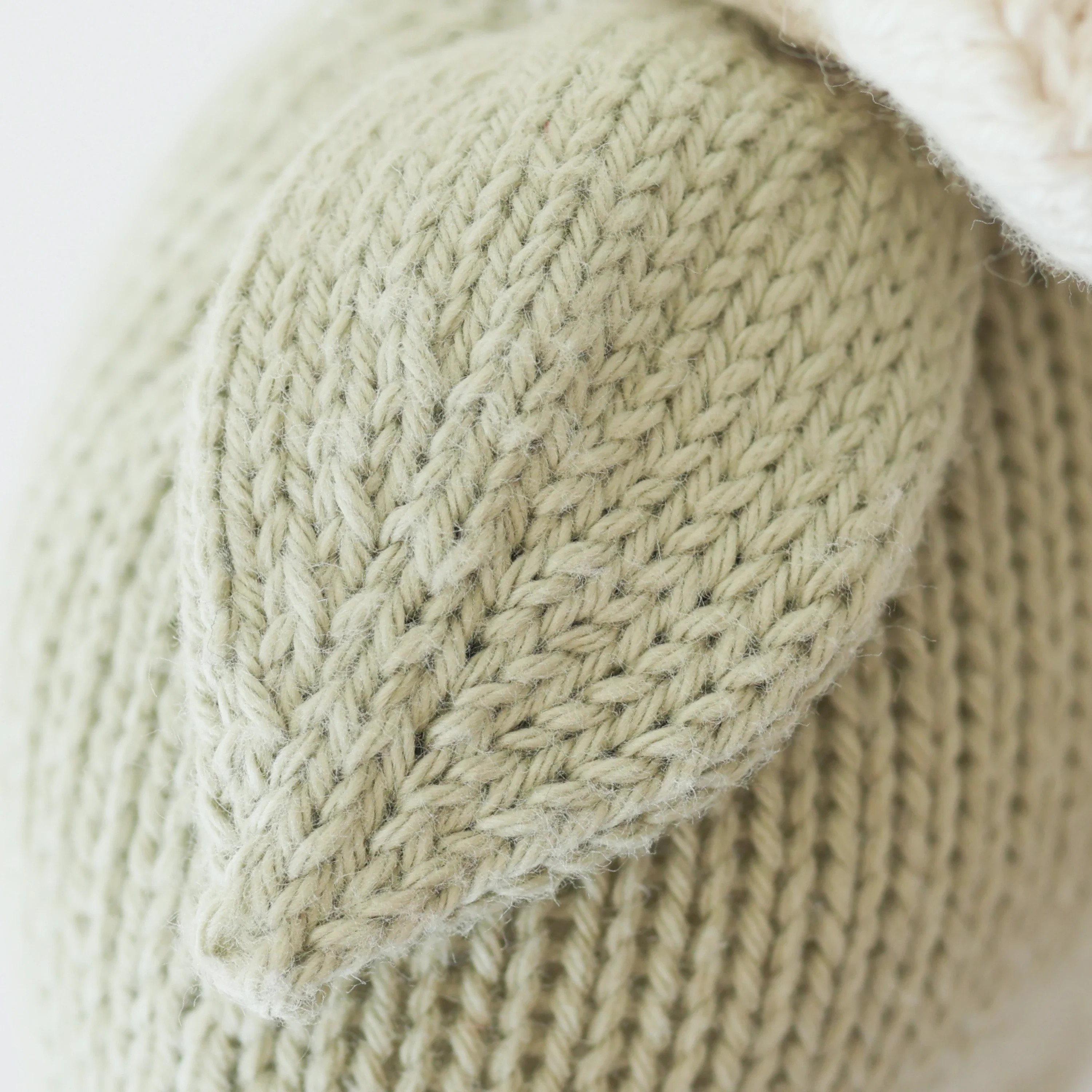 Baby daisy (ivory) - Image 2