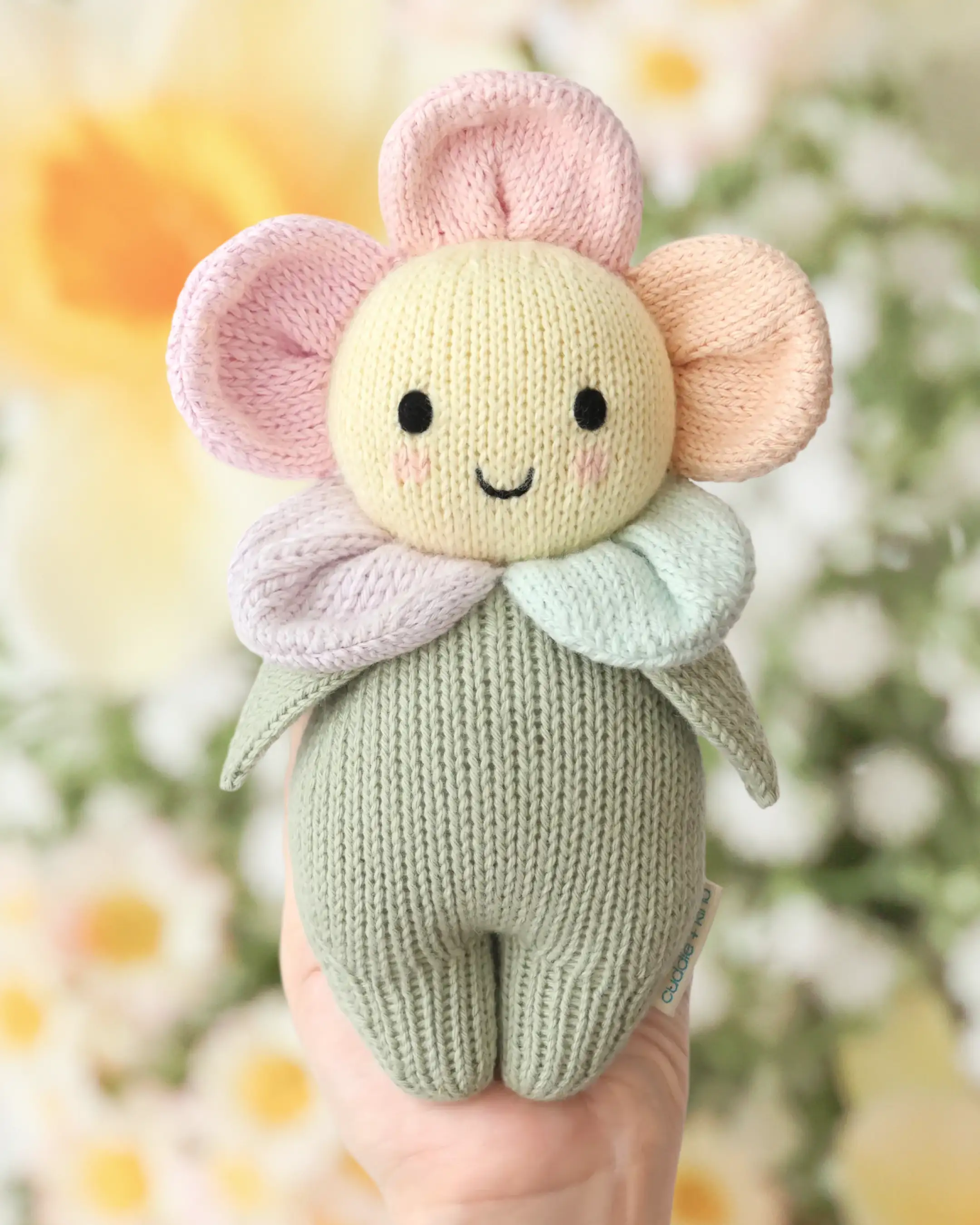 Baby daisy (sunshower) - Image 3