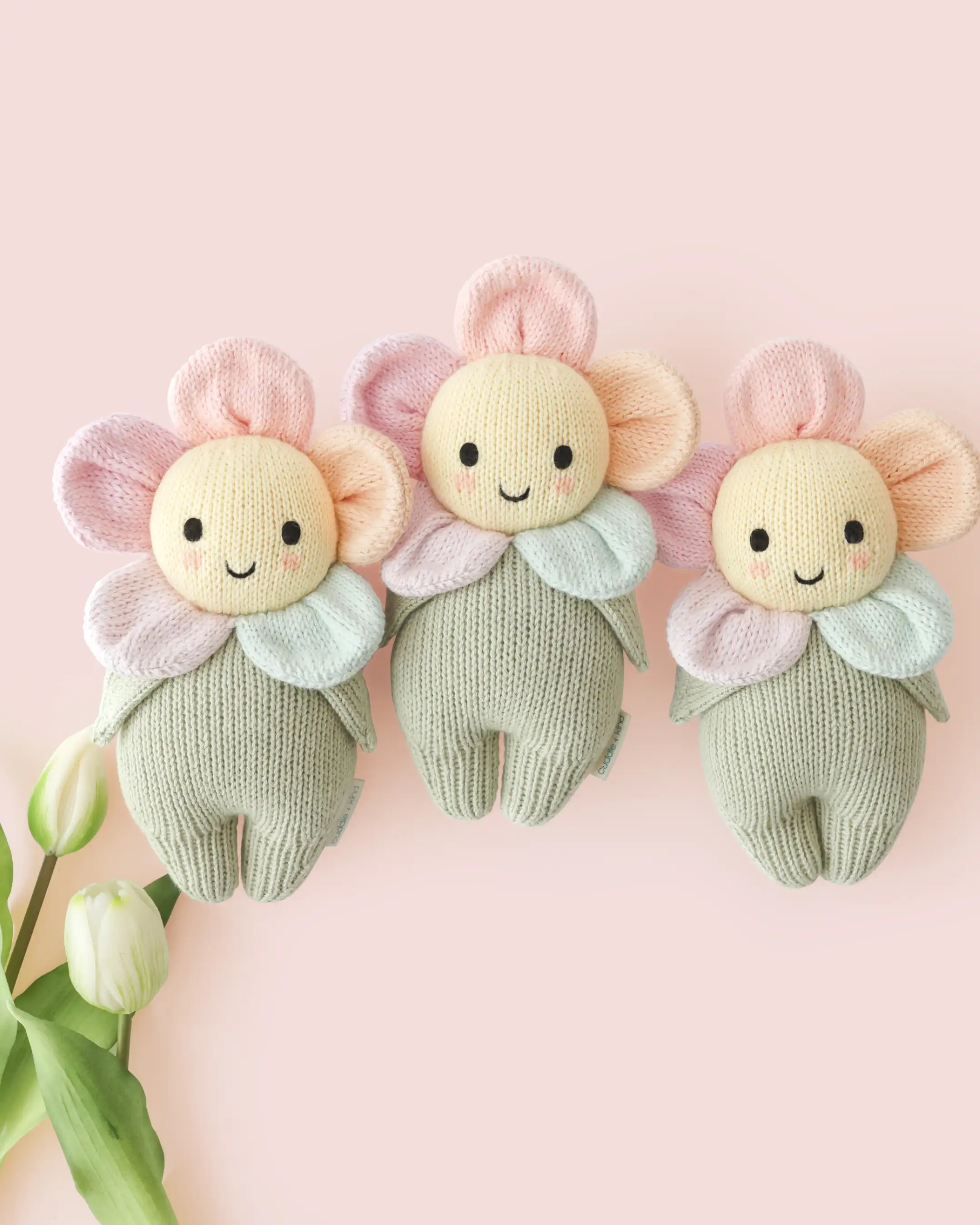 Baby daisy (sunshower) - Image 7