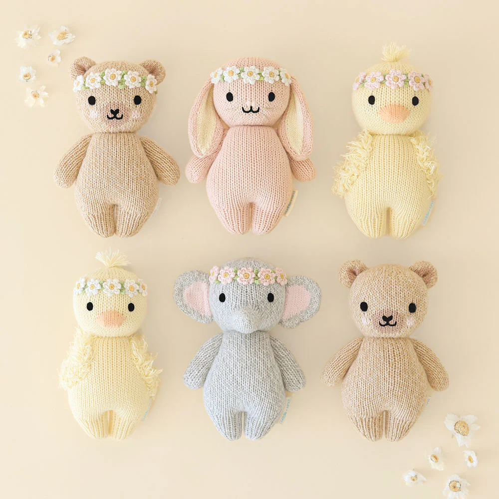 Baby honey bear - Image 9