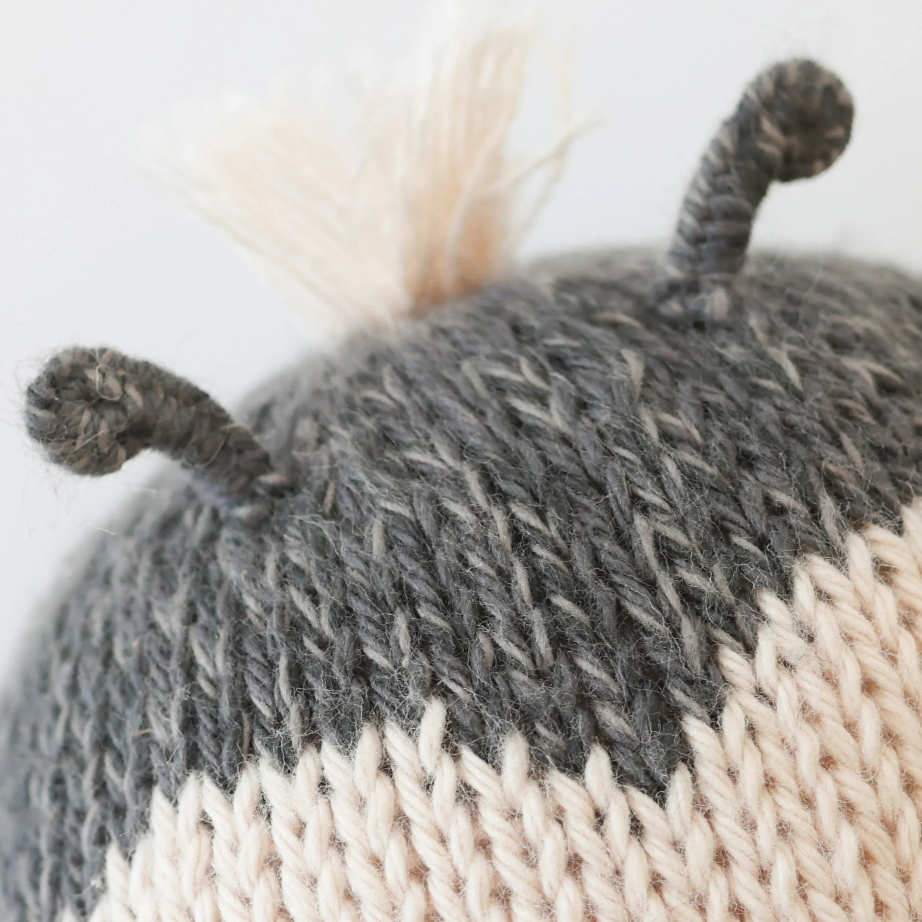 Baby ladybug - Image 3