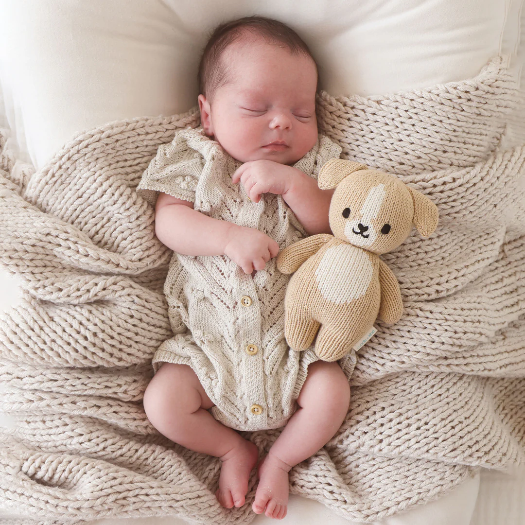 Baby puppy - Image 8