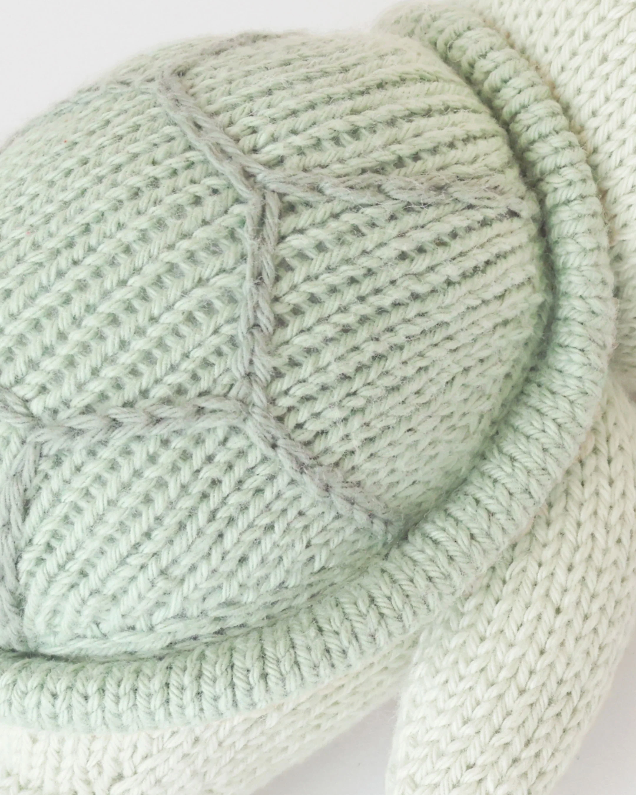 Baby sea turtle (kelp green) - Image 2