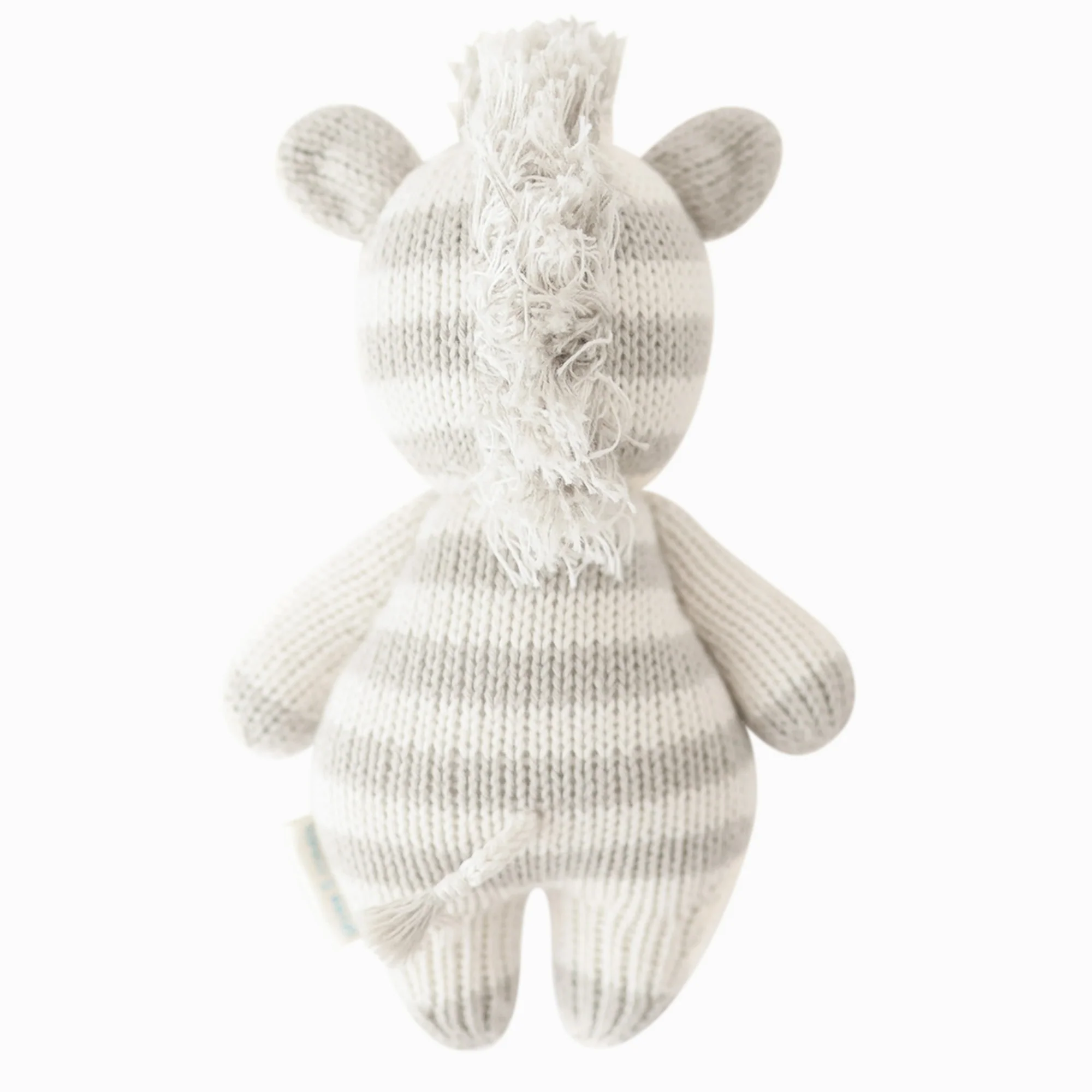Baby zebra - Image 10