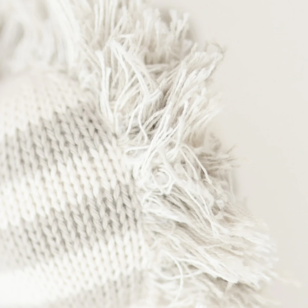 Baby zebra - Image 2