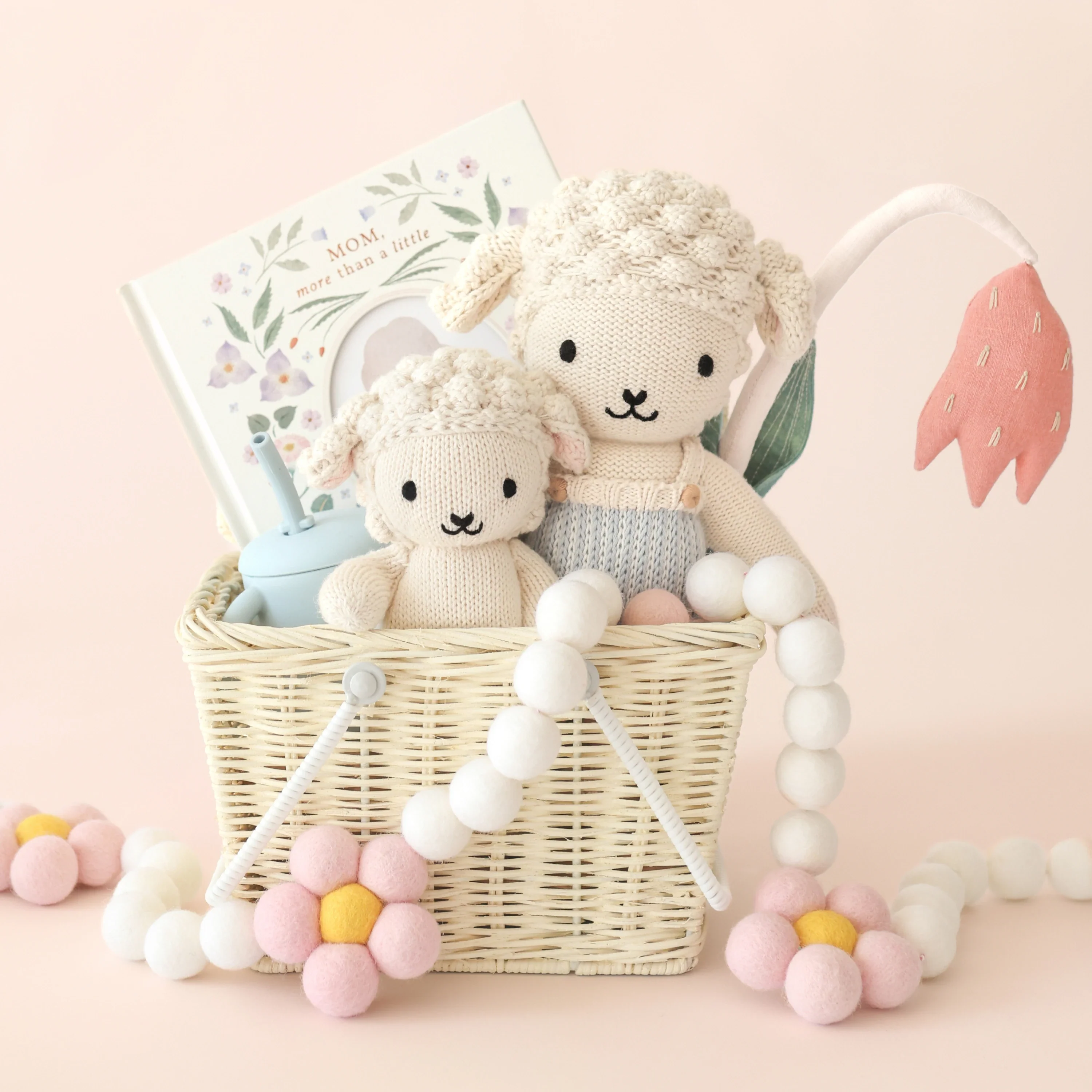 Benjamin the lamb - Image 4