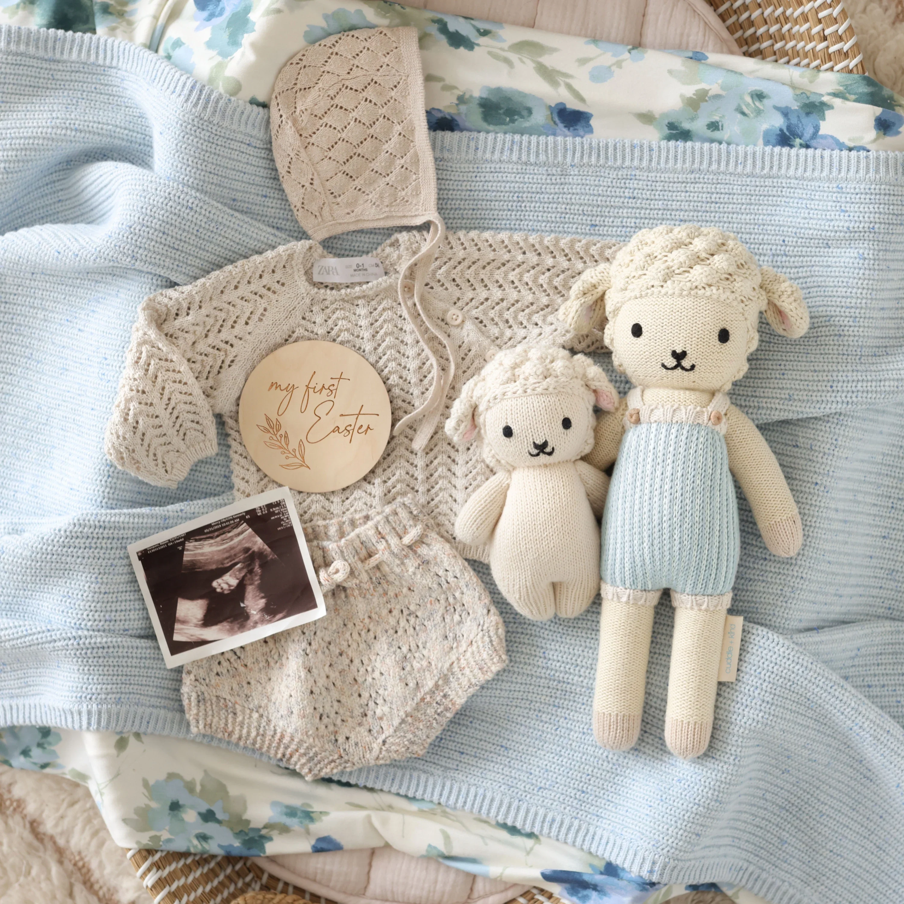Benjamin the lamb - Image 6