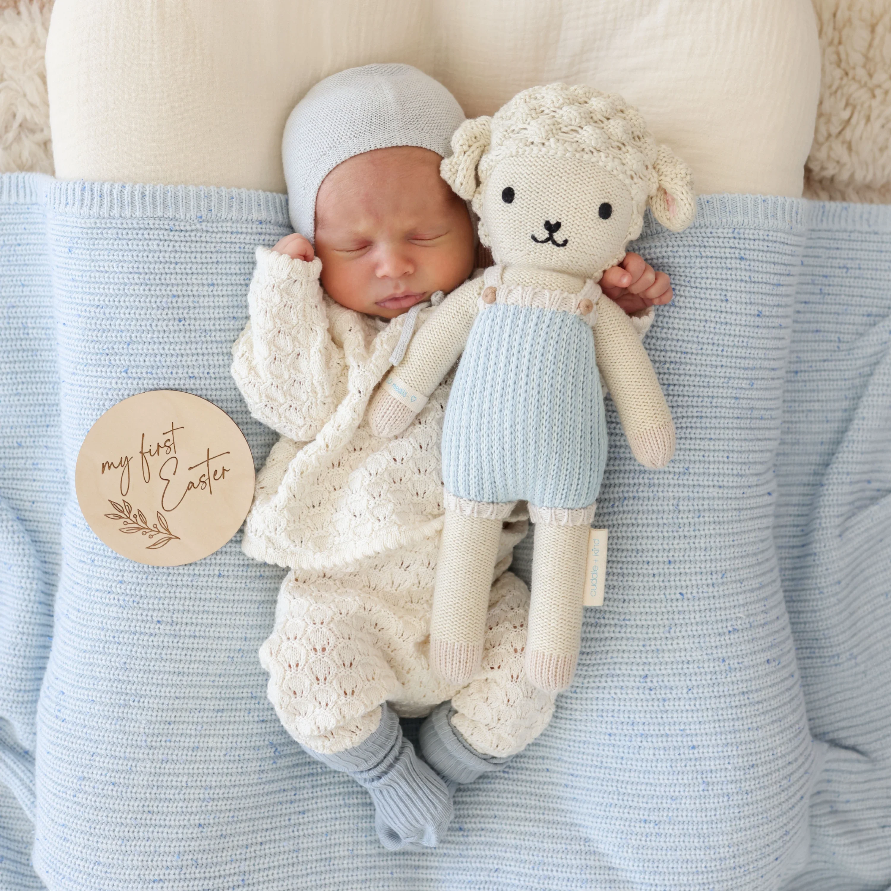Benjamin the lamb - Image 7