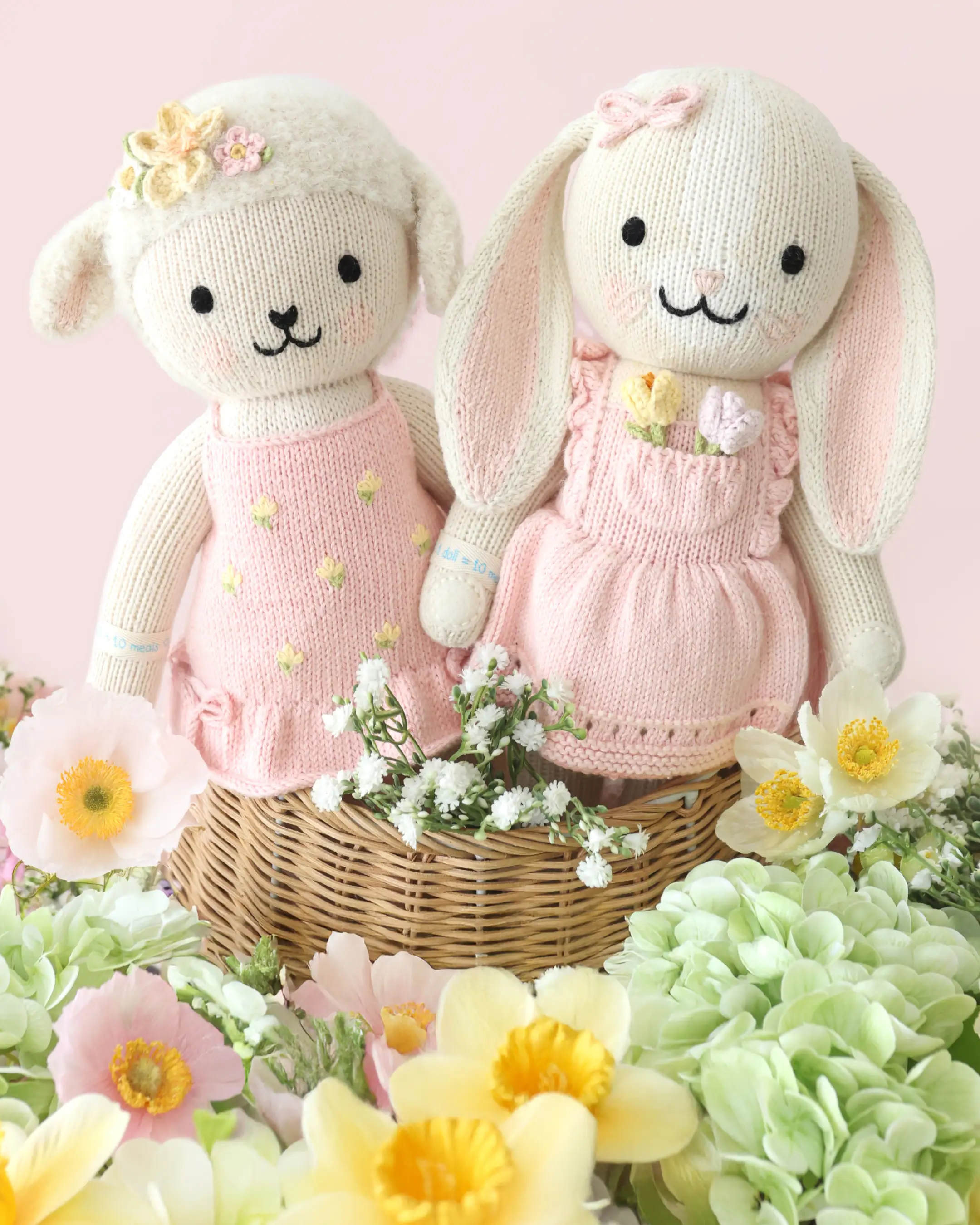 Eleanor the lamb - Image 5