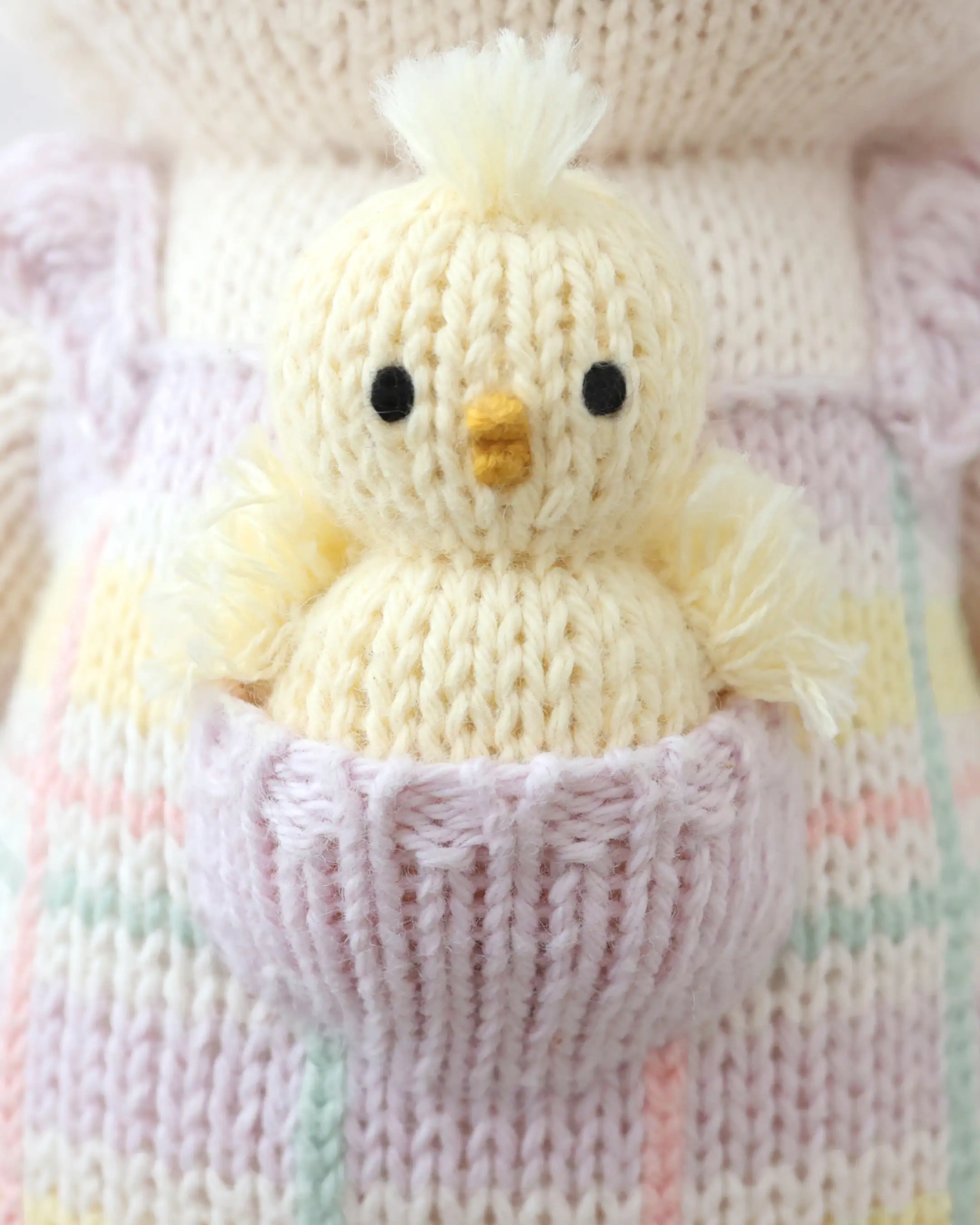 Mabel the lamb - Image 2
