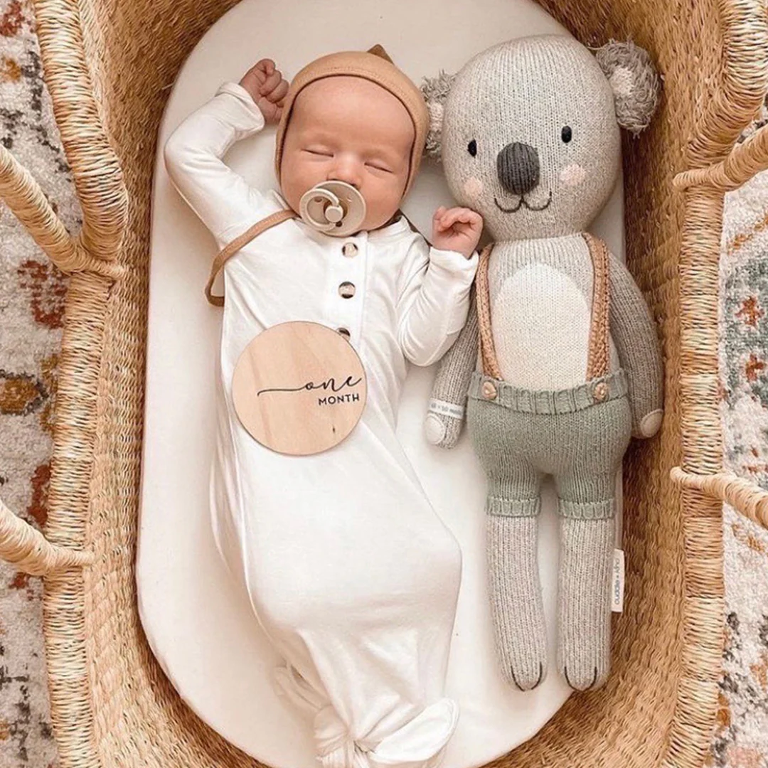 Quinn the koala - Image 6