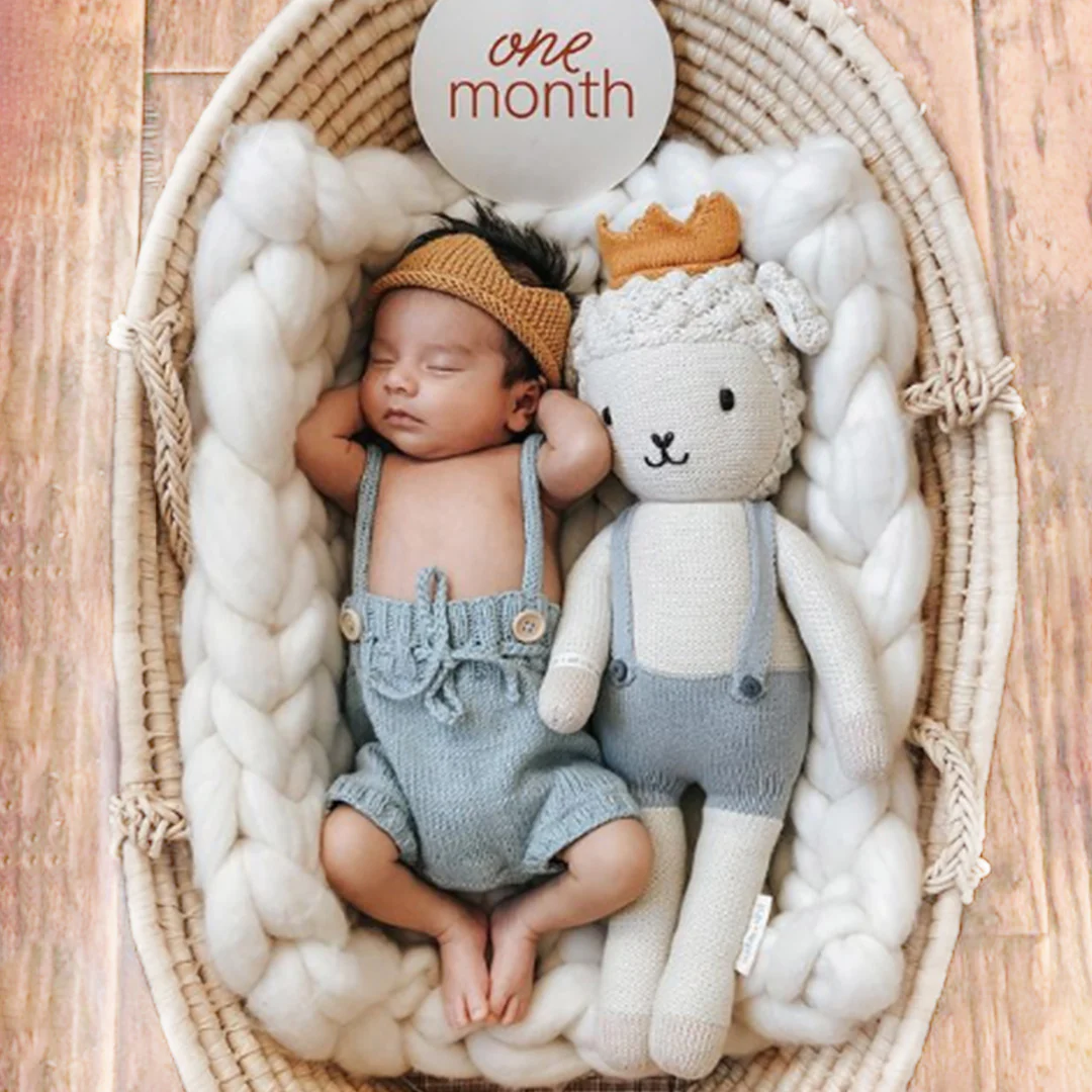 Sebastian the lamb - Image 6
