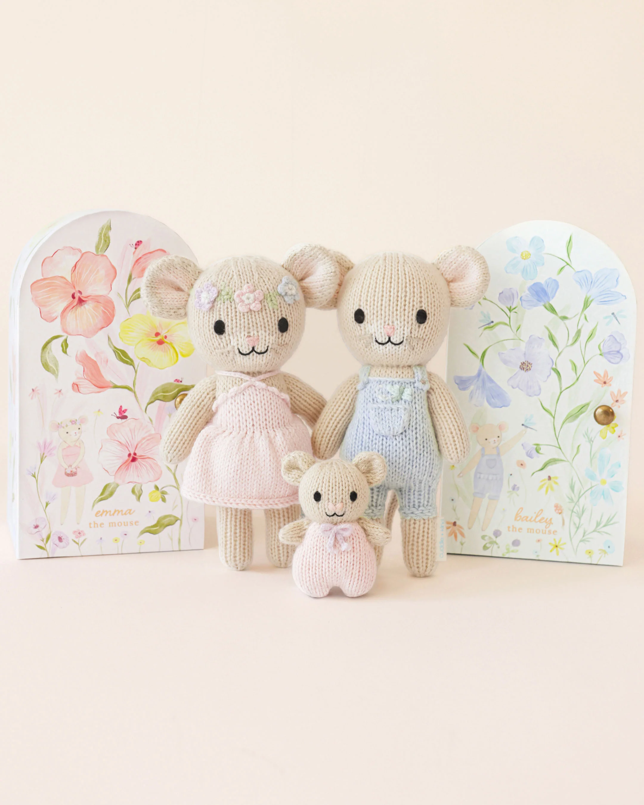 Tiny Bailey the mouse - Image 8