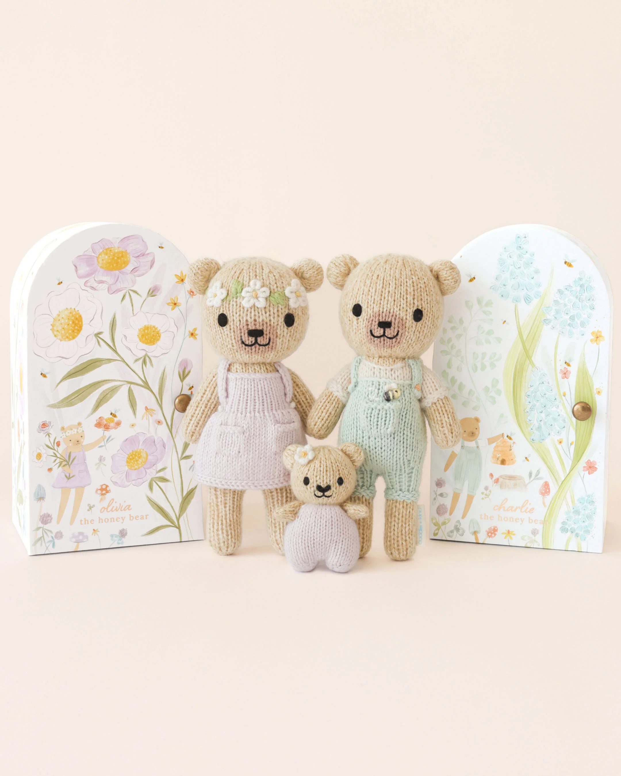 Tiny Charlie the honey bear - Image 10