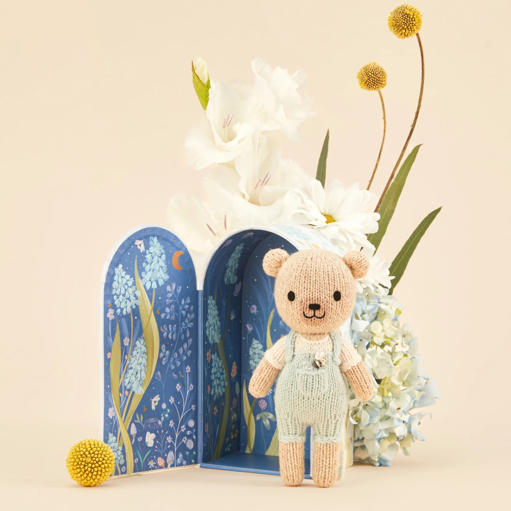 Tiny Charlie the honey bear - Image 6