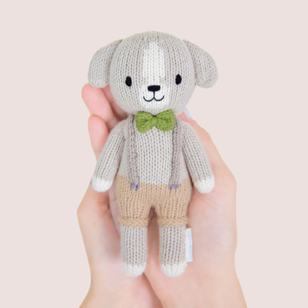Tiny Noah the dog - Image 7