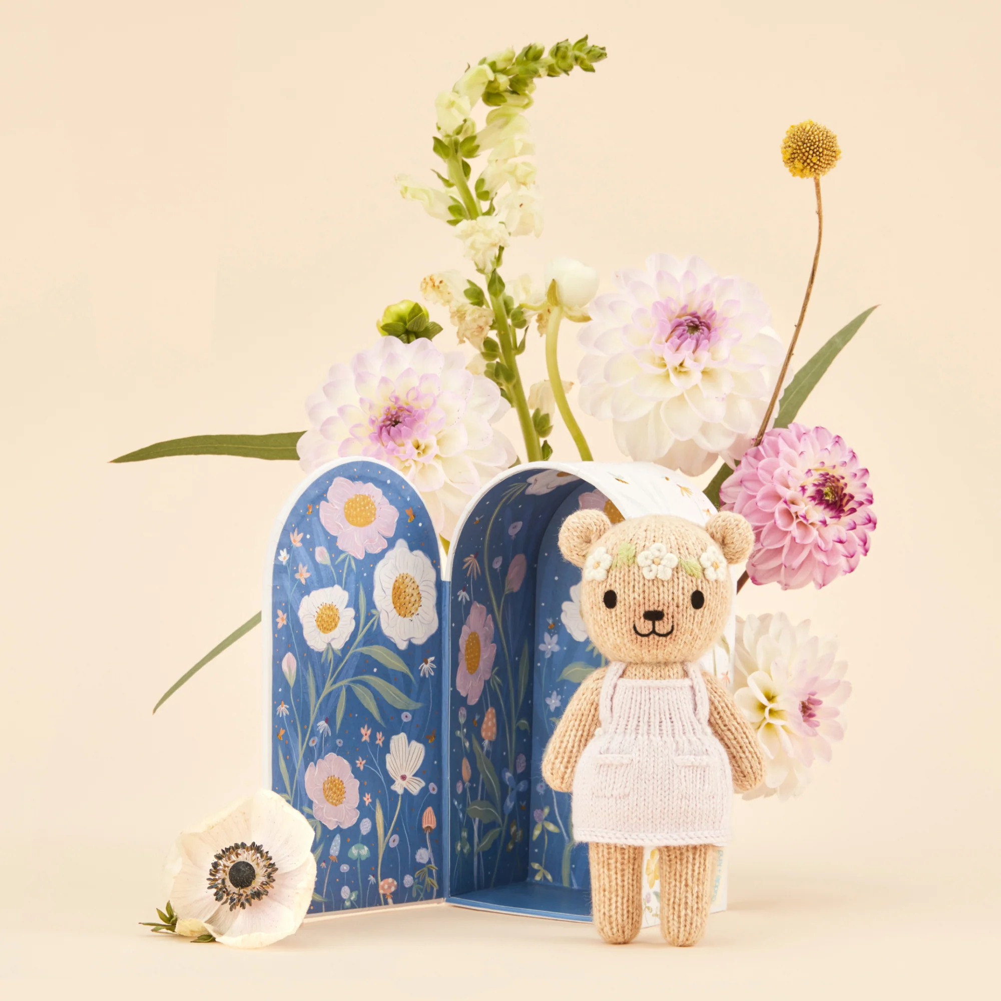 Tiny Olivia the honey bear - Image 6